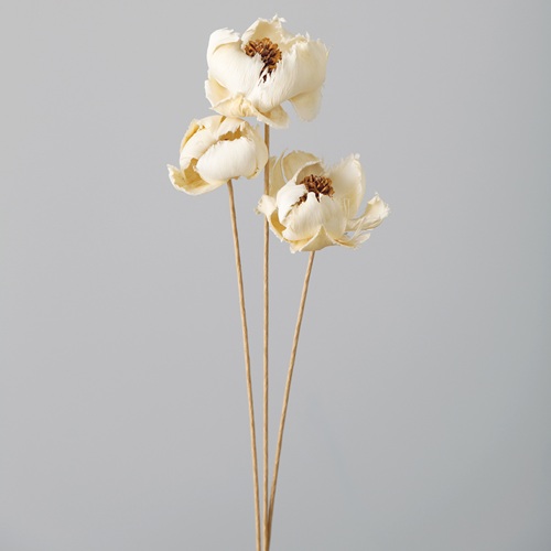 パームフラワー