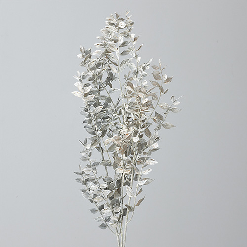 ラスカス・プリザーブド　マットホワイト